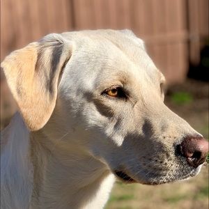 Meet your Posher, Jay